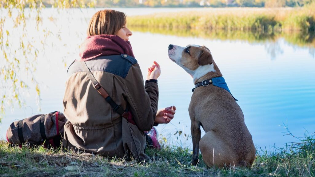 prendre un male ou une femelle