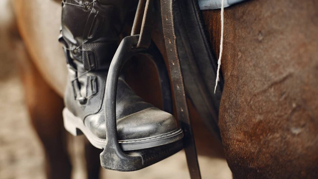 focus chaussures equitation cheval