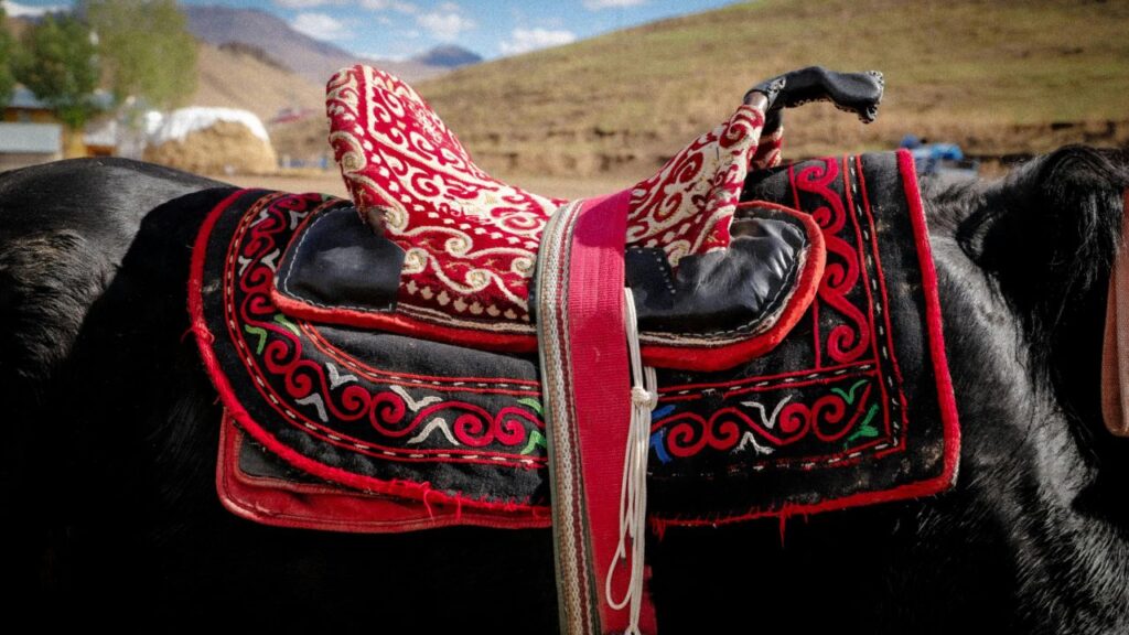 selle de cheval rouge