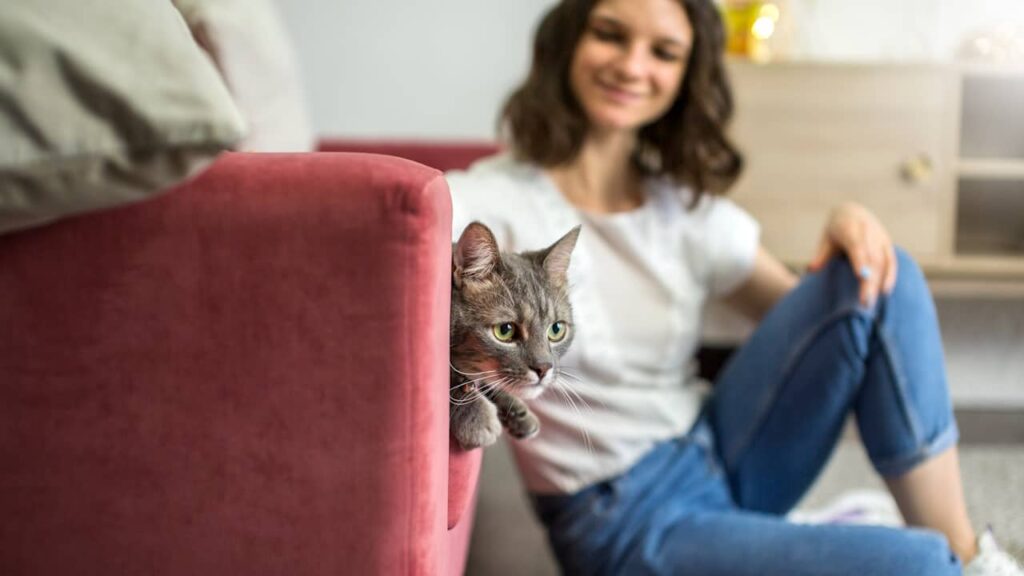 chat femme appartement